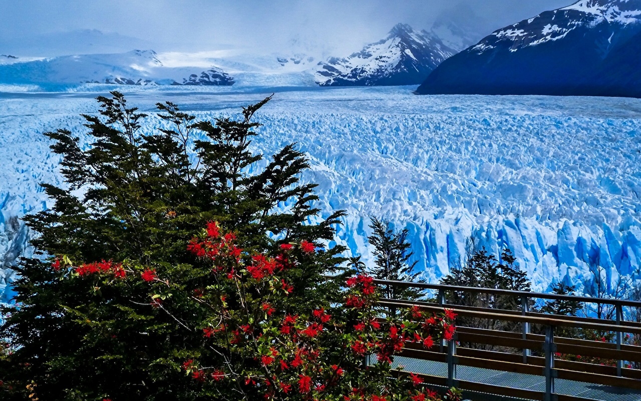 Wallpaper Argentina Perito Moreno Glacier Santa Cruz Province