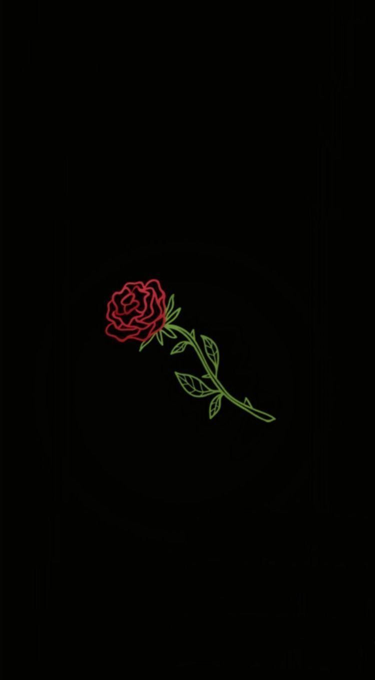 Dying Rose Wallpaper