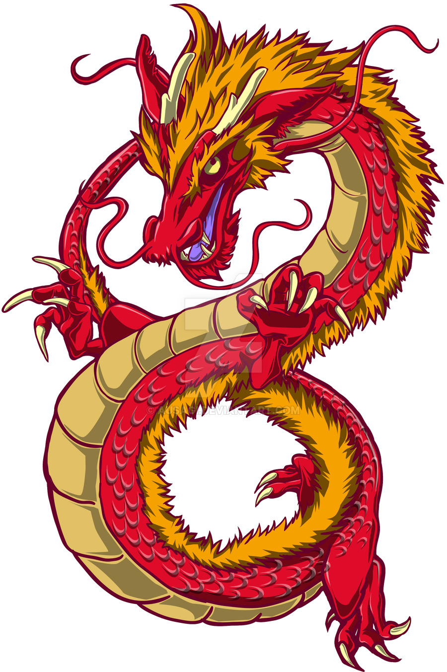 Chinese Dragon Wallpaper 29vy251 Dragon White Background