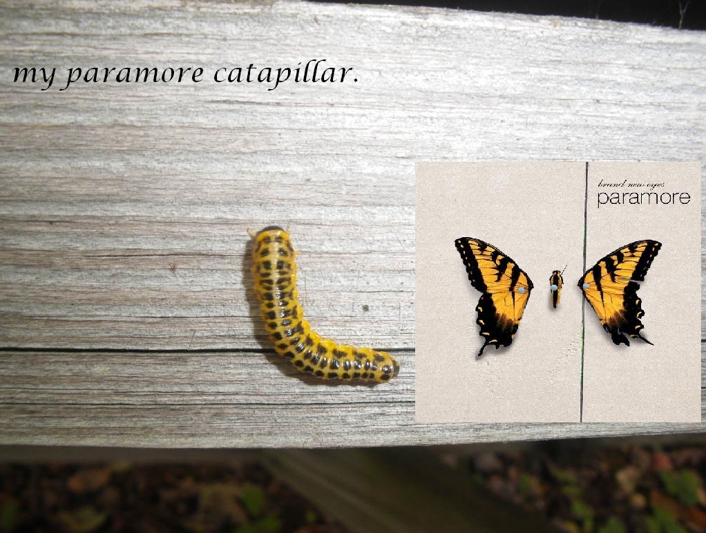 Brand New Eyes Wallpapers - Wallpaper Cave