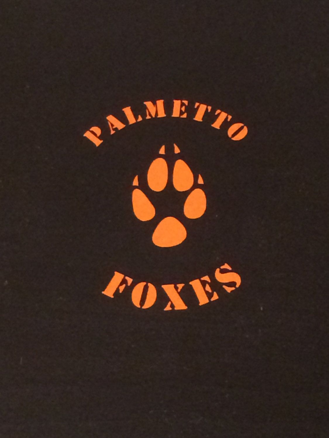 FREE SHIPPING! for the Game inspired decals. Palmetto State Foxes. The Foxhole Court. Two Styles and Multiple Colors Ava. The game book, Fox, Neil josten