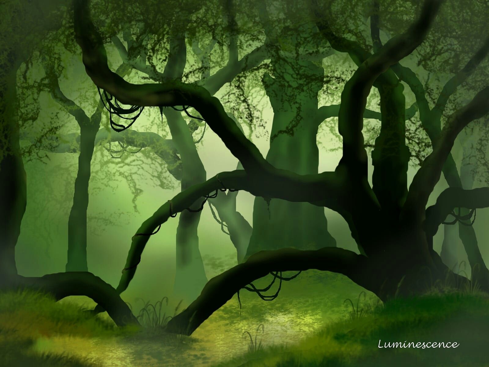 Dense forest. Forest art, Forest painting, Forest drawing