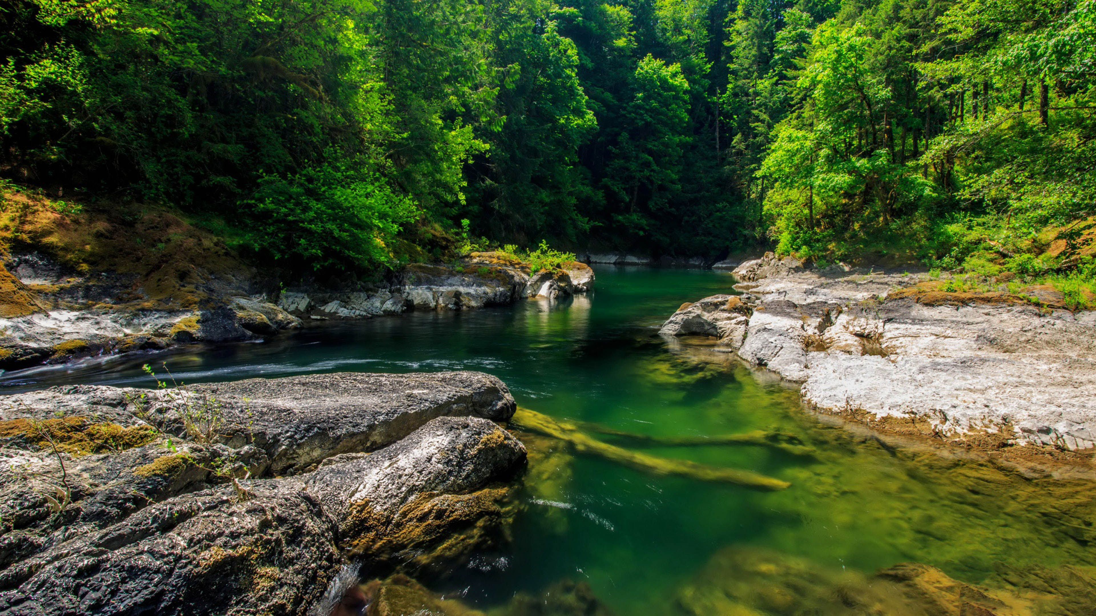 Canada Mountain River Green Water Dense Forest With Trees Rocky Coast Rocks Landscape Wallpaper HD 3840x2160, Wallpaper13.com