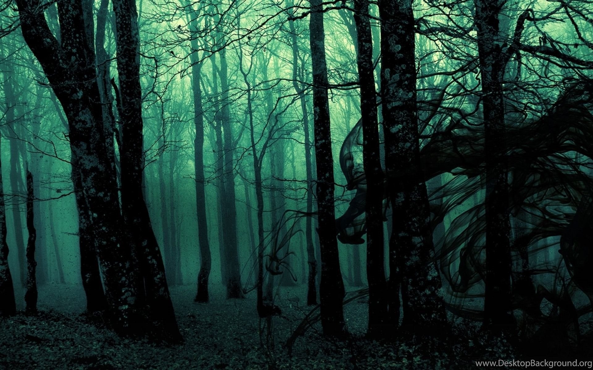 Dark Dense Forest Desktop Background