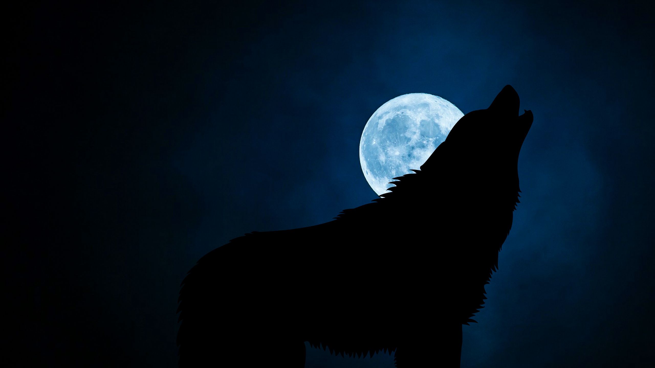 Wolf Silhouette 4K wallpaper  Wolf silhouette, Desktop wallpaper art,  Digital painting