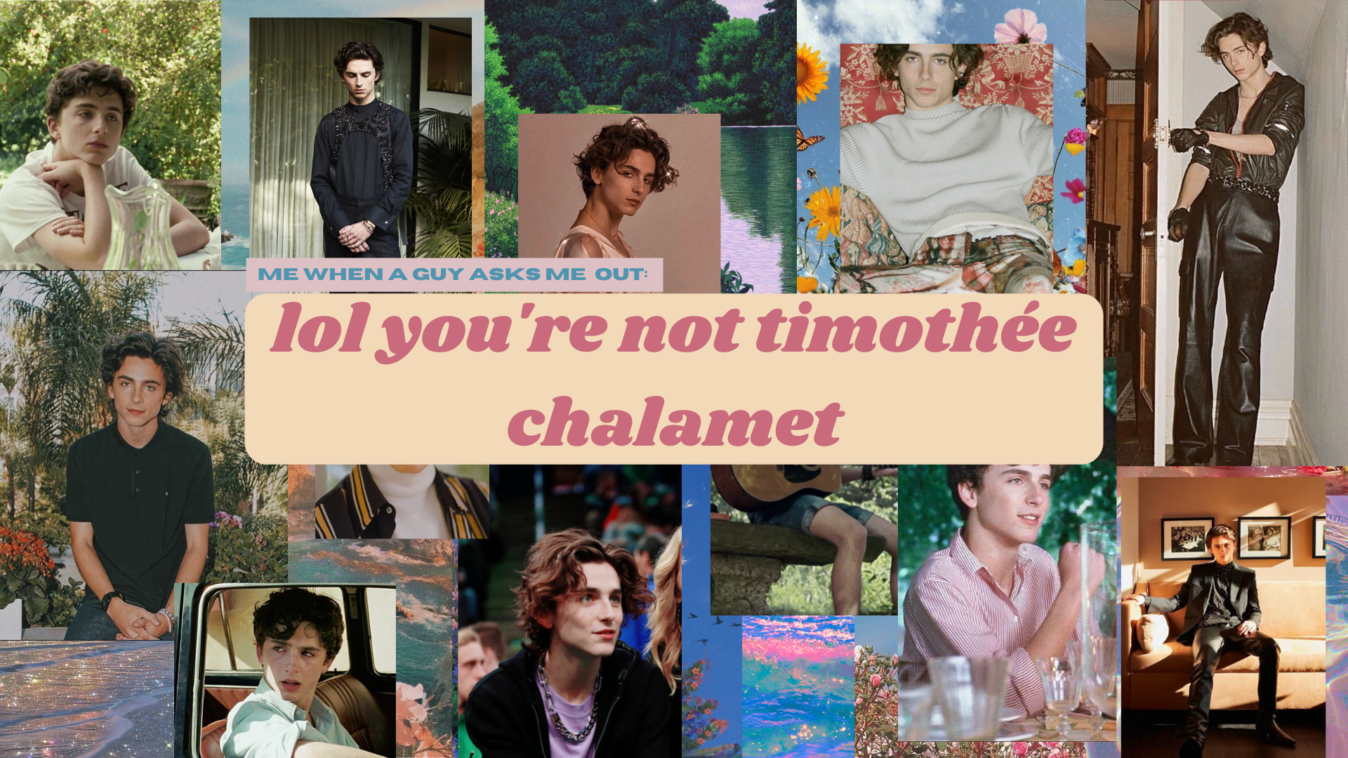 Lol You're Not Timothee Chalamet Desktop Laptop Wallpaper Aesthetic. IPhone Homescreen Wallpaper, Custom Collage, Laptop Wallpaper