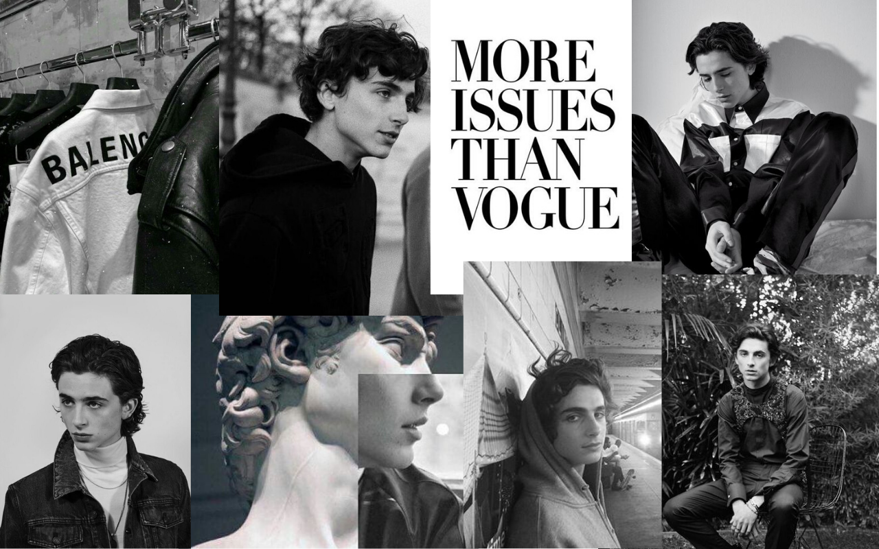 Timothee Chalamet PC Wallpapers - Wallpaper Cave