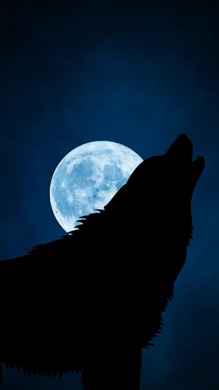 Download wallpaper 720x1280 wolf, silhouette, moon, night samsung galaxy mini s3, s5, neo, alpha, sony xperia compact z1, z2, z3, asus zenfone HD background