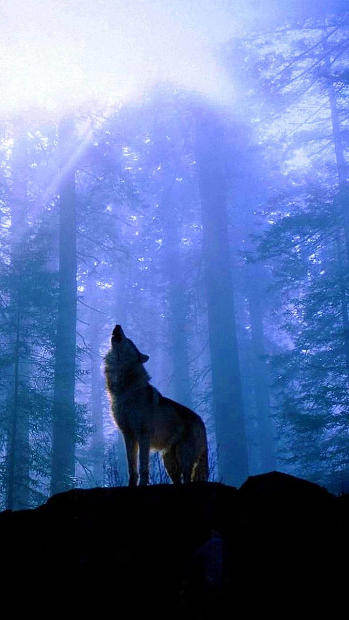 Wolf Wallpaper Lockscreen