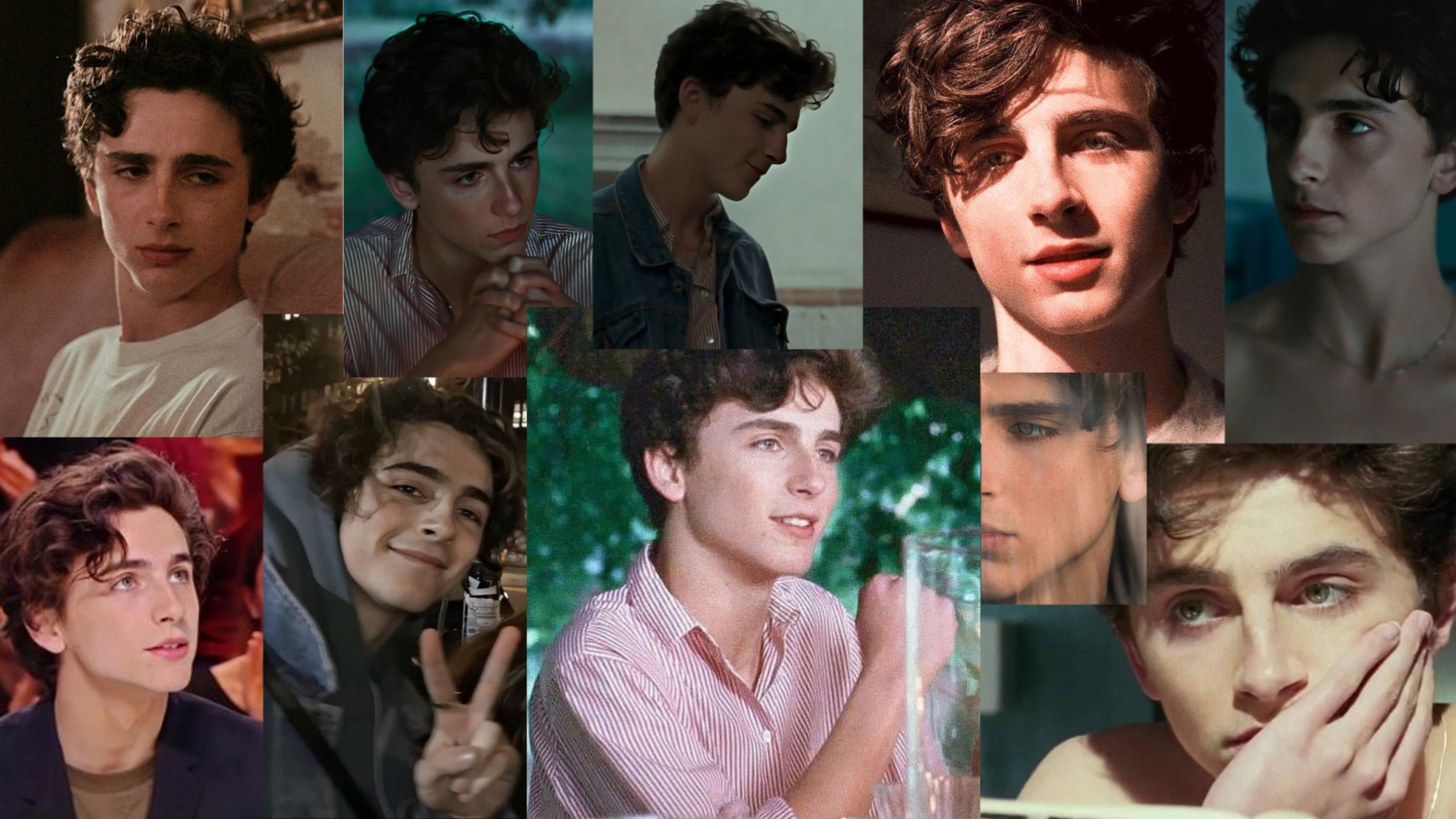 Timothee Chalamet Laptop Wallpaper Background. Timothee Chalamet, Fondos De Pantalla Pc, Novios
