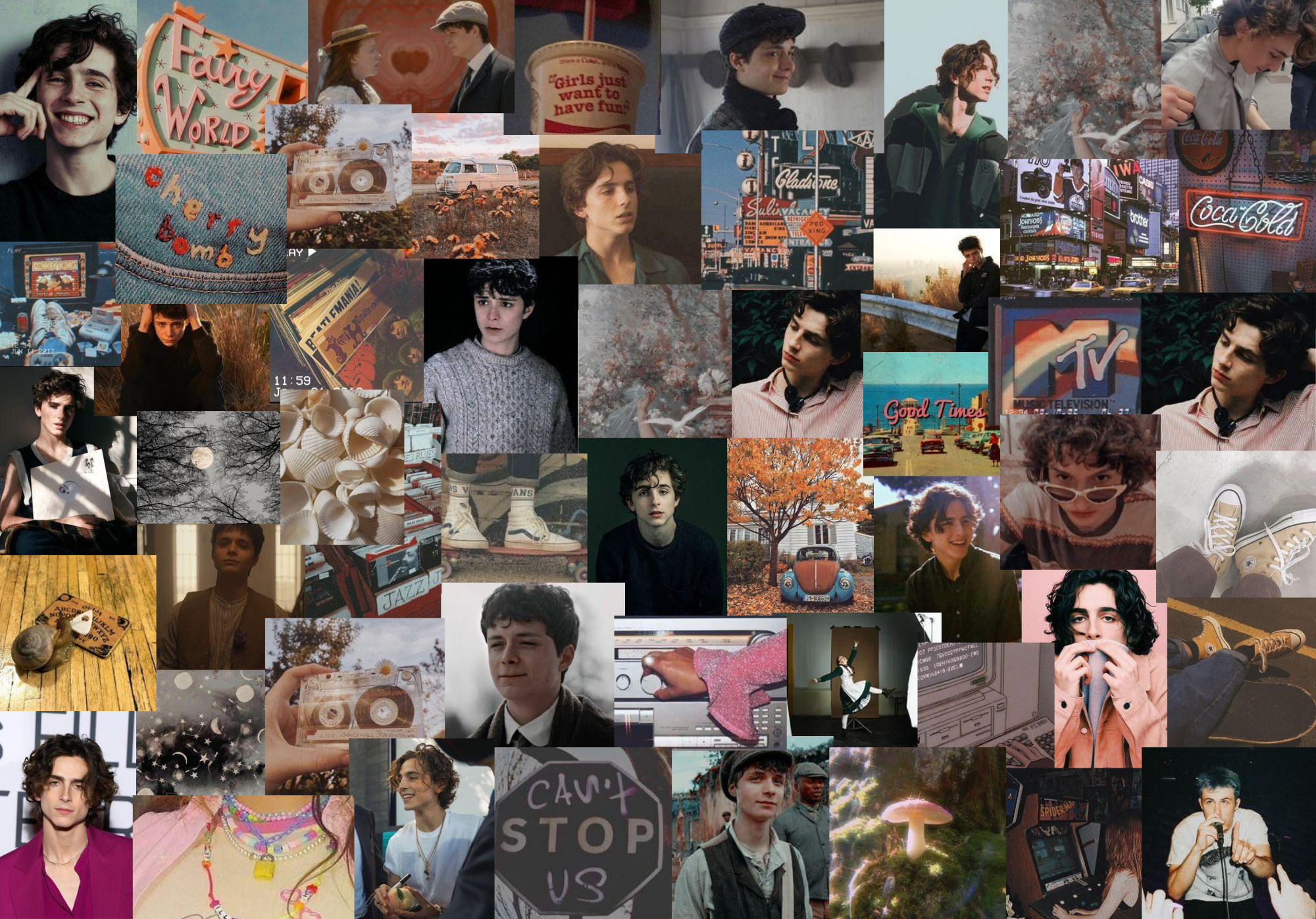 Timothee chalamet desktop wallpaper en 2021 decoración de habitación de sirena pantalla de laptop timothee chalamet