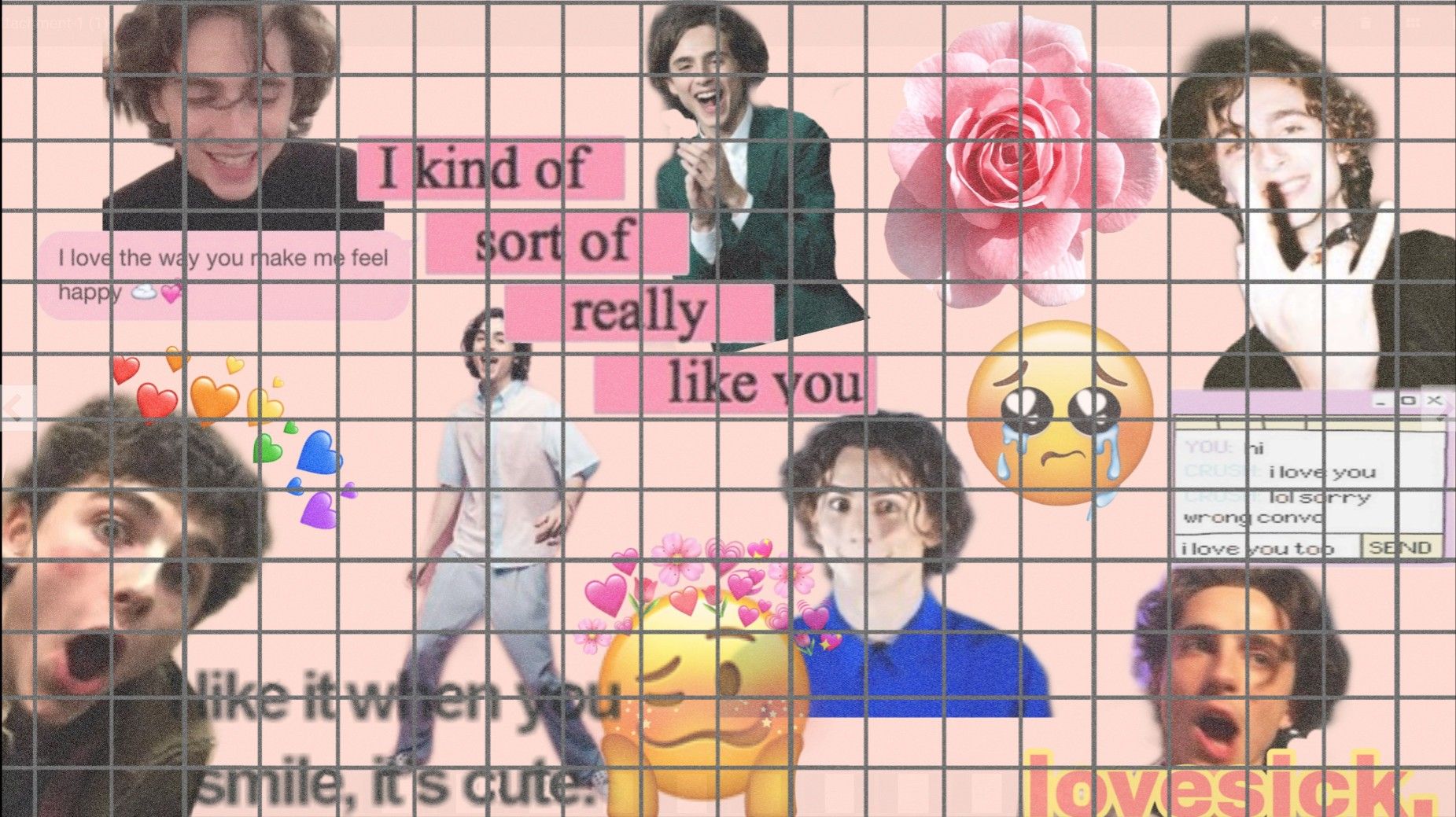 aliceeeee01 Profiles. Timothee chalamet, Laptop wallpaper, Wallpaper stickers