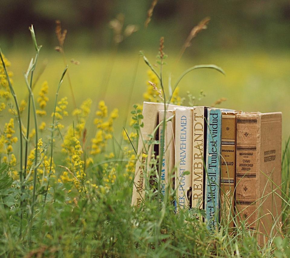 Many old books in the green grass