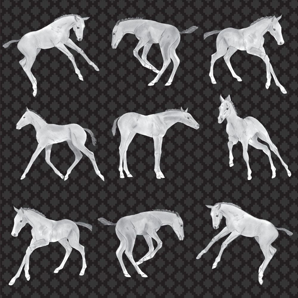 Foals (wallpaper)