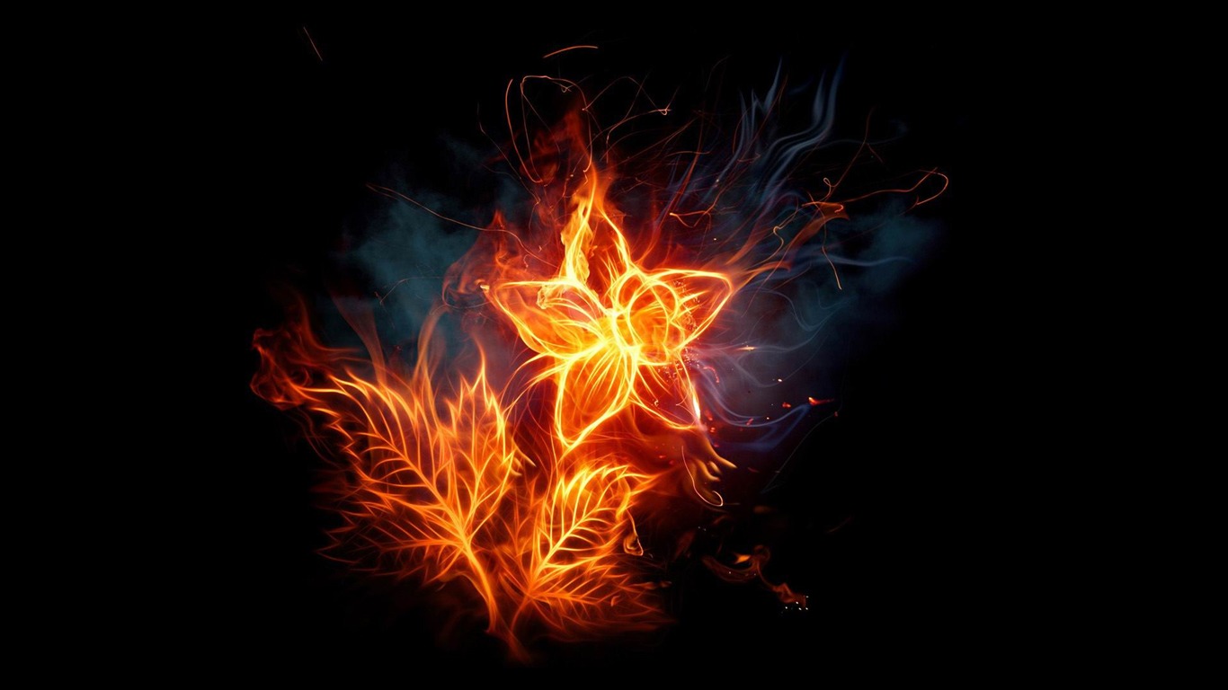 Fire Flower The Fire Of Artistic Creativity Design Wallpaper