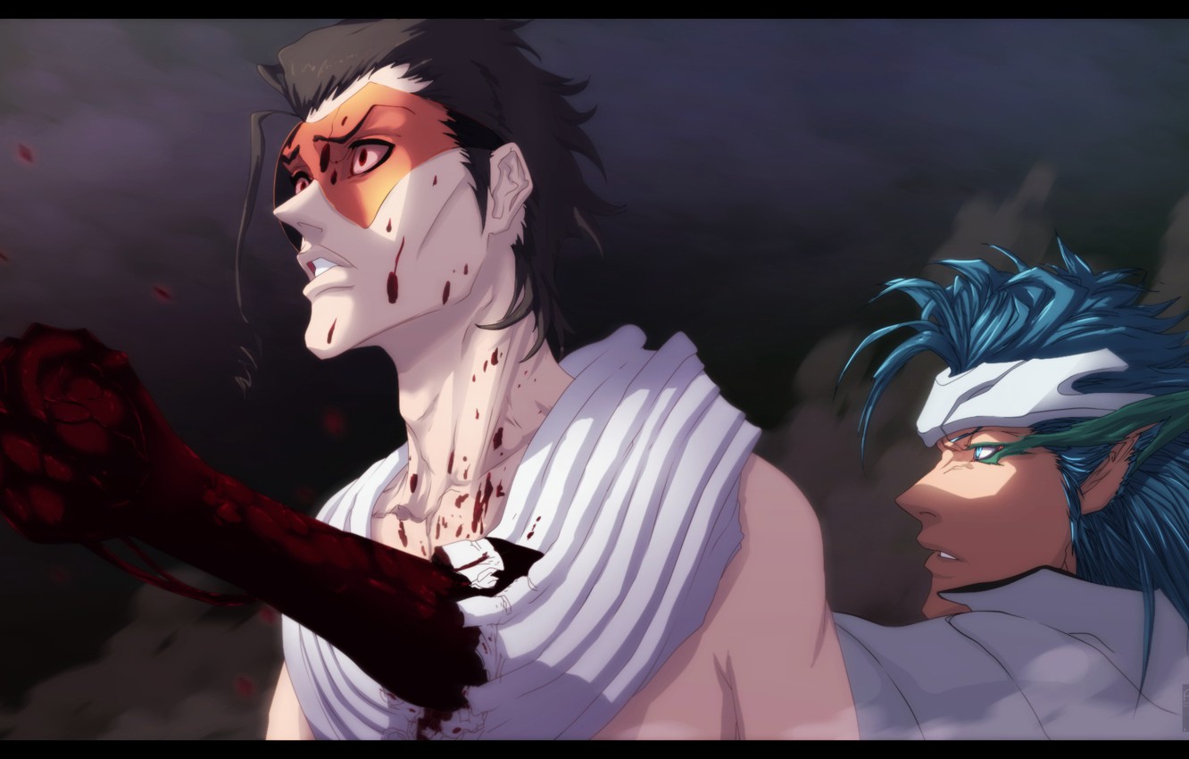 Wallpaper Bleach, Grimmjow, Askin image for desktop, section прочее