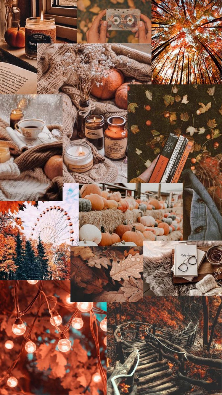 Cute Brown Aesthetic Wallpaper for Phone, Fall Aesthetic Wallpaper I Take You. Wedding Readings. Wedding Ideas