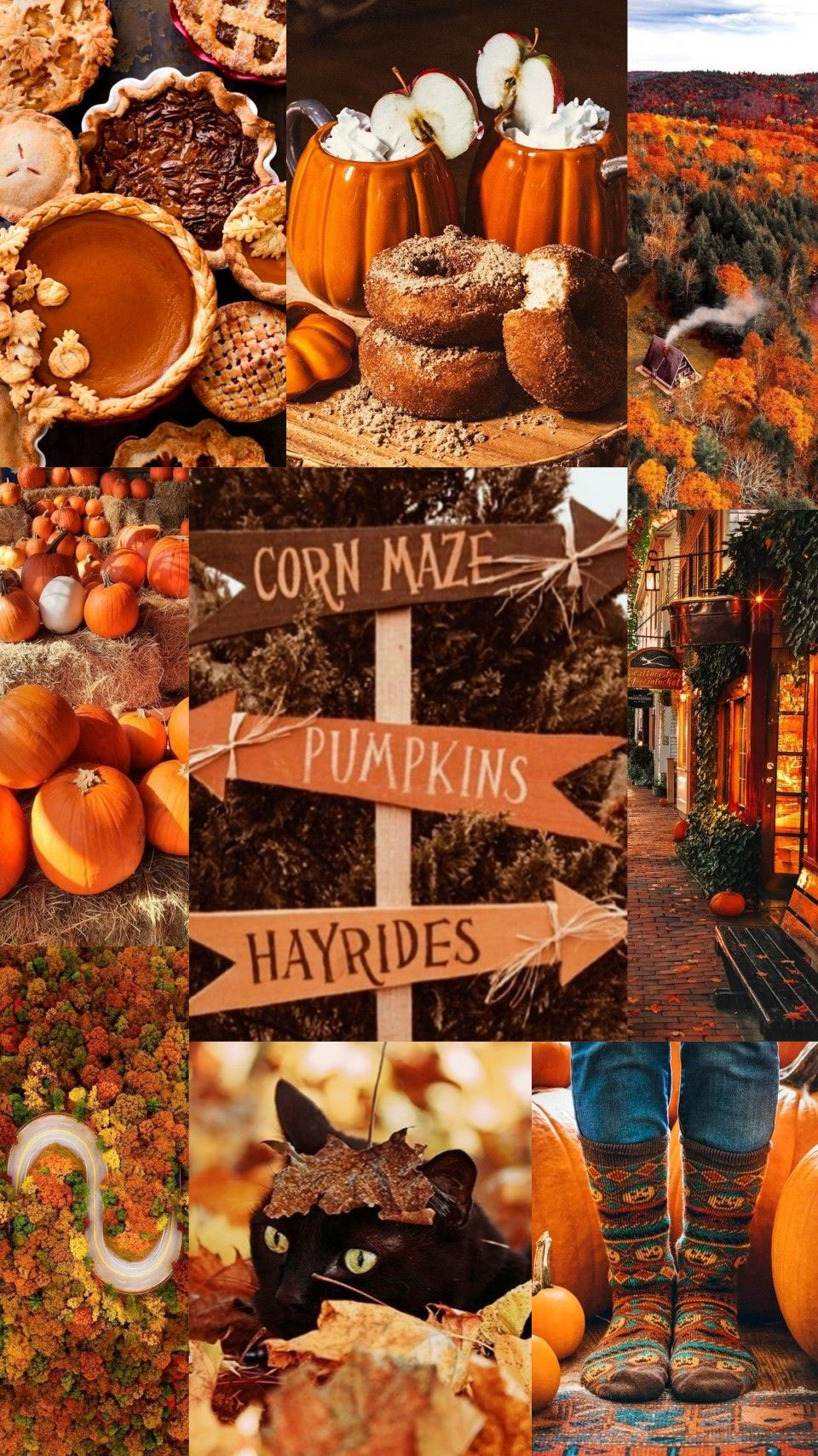Download Halloween Aesthetic Collage Visuals Wallpaper  Wallpaperscom