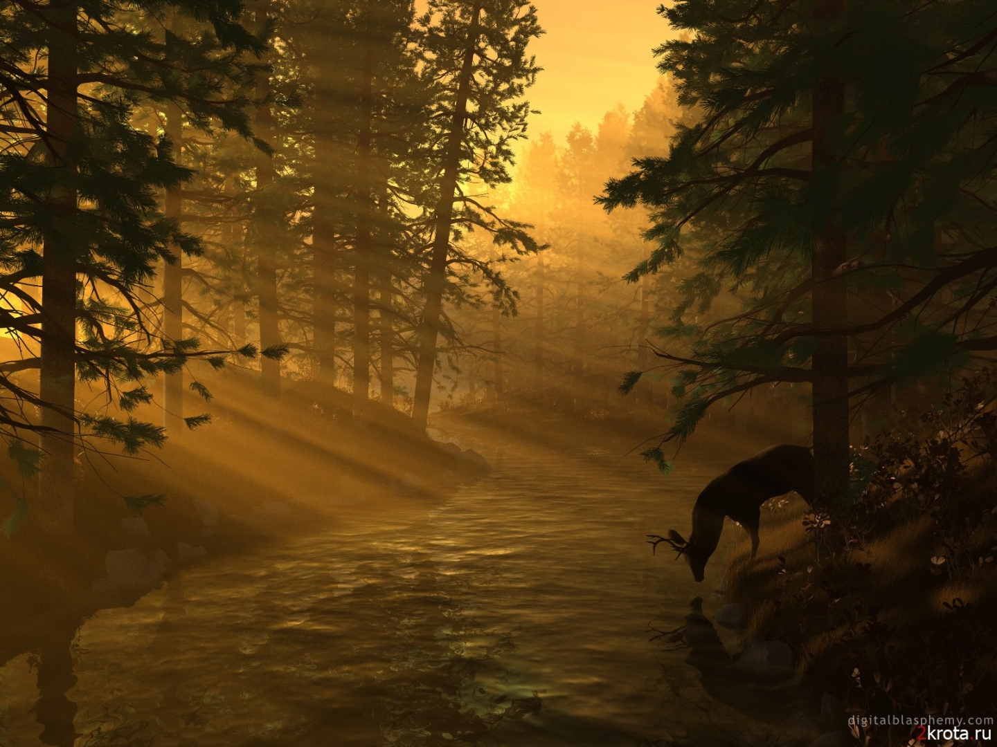 Natural Vegetation And Wildlife