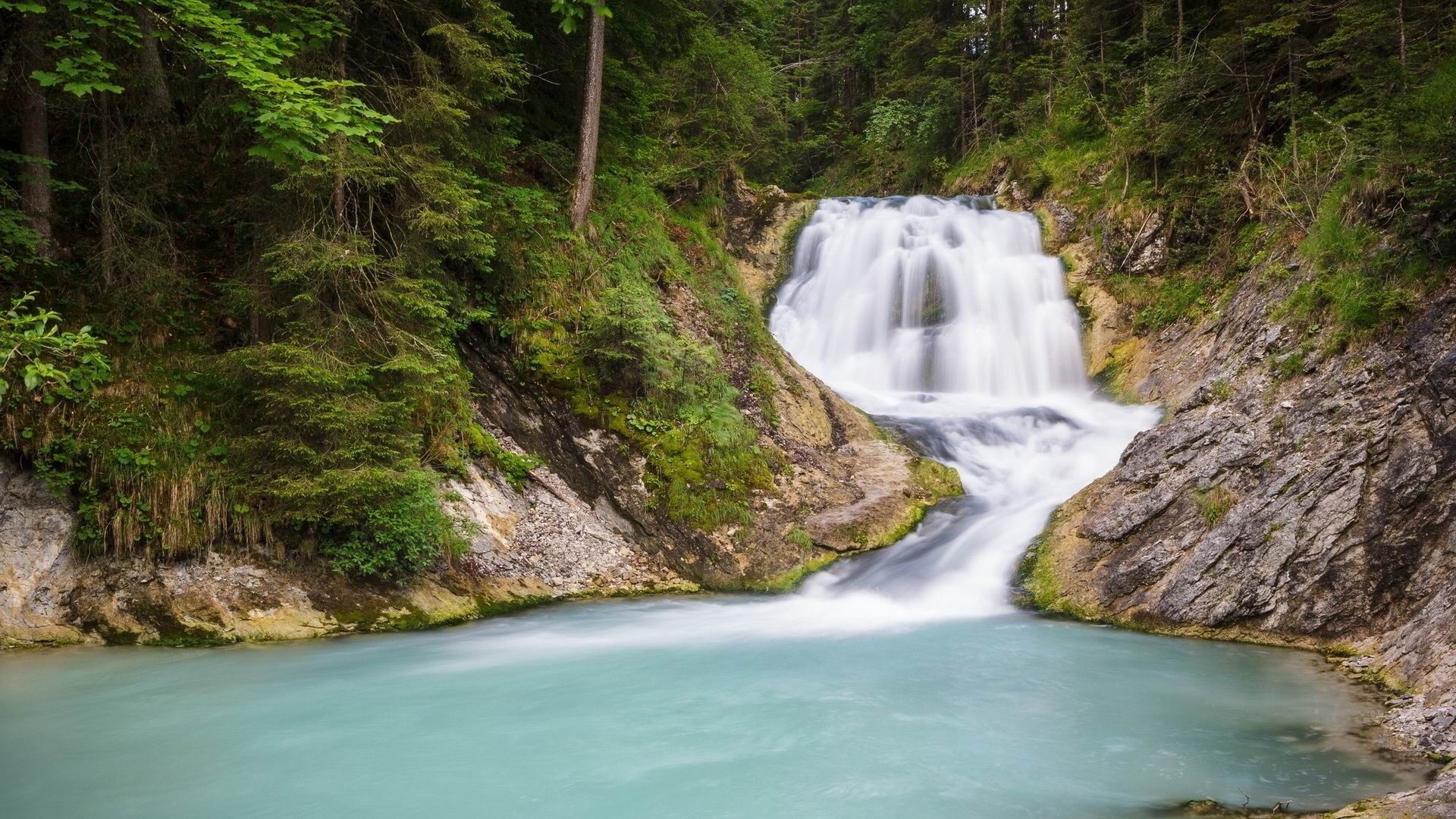 Vegetation Wallpaper 46622 1920x1080px