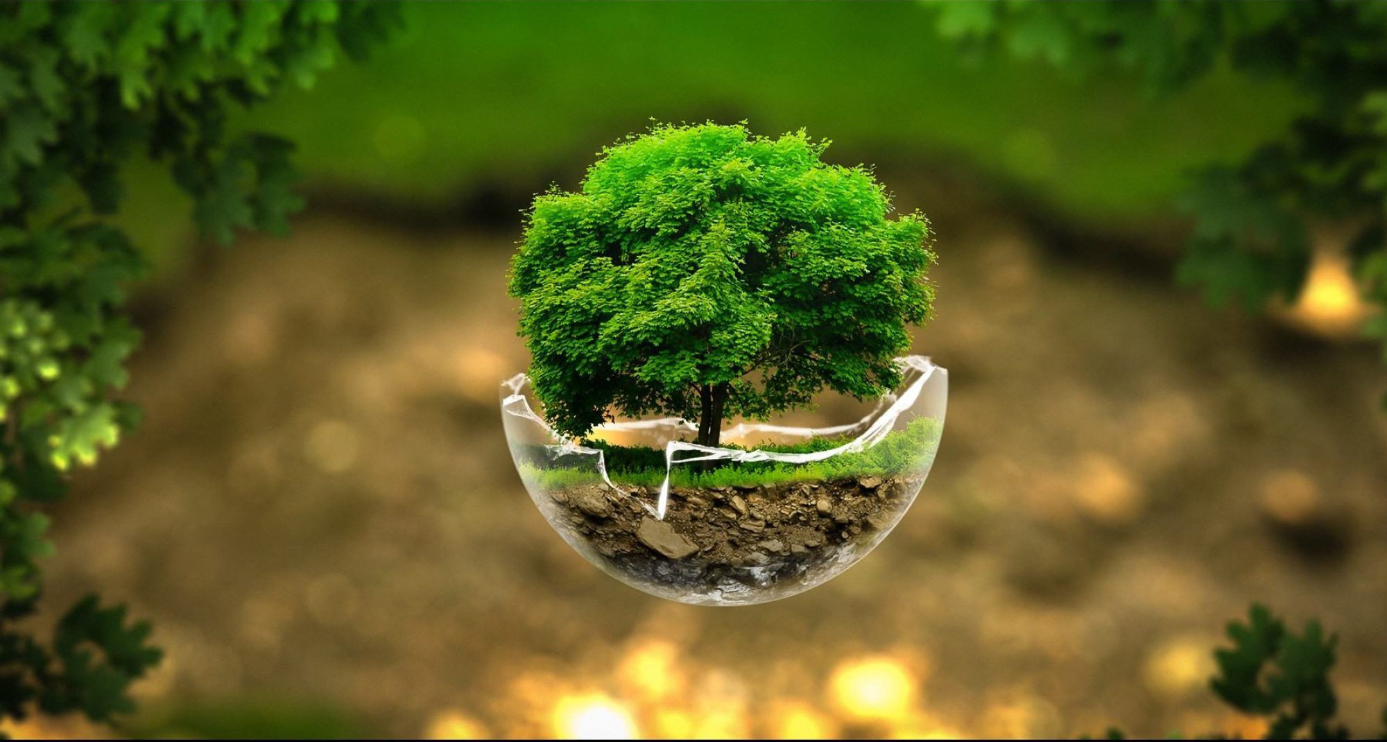 Best Nature Image Wallpaper, Nature Image Wallpaper Free Download