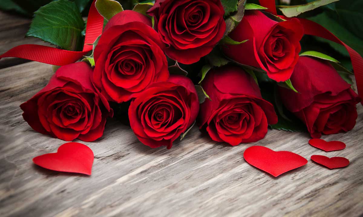 Valentines Flower Wallpapers - Wallpaper Cave