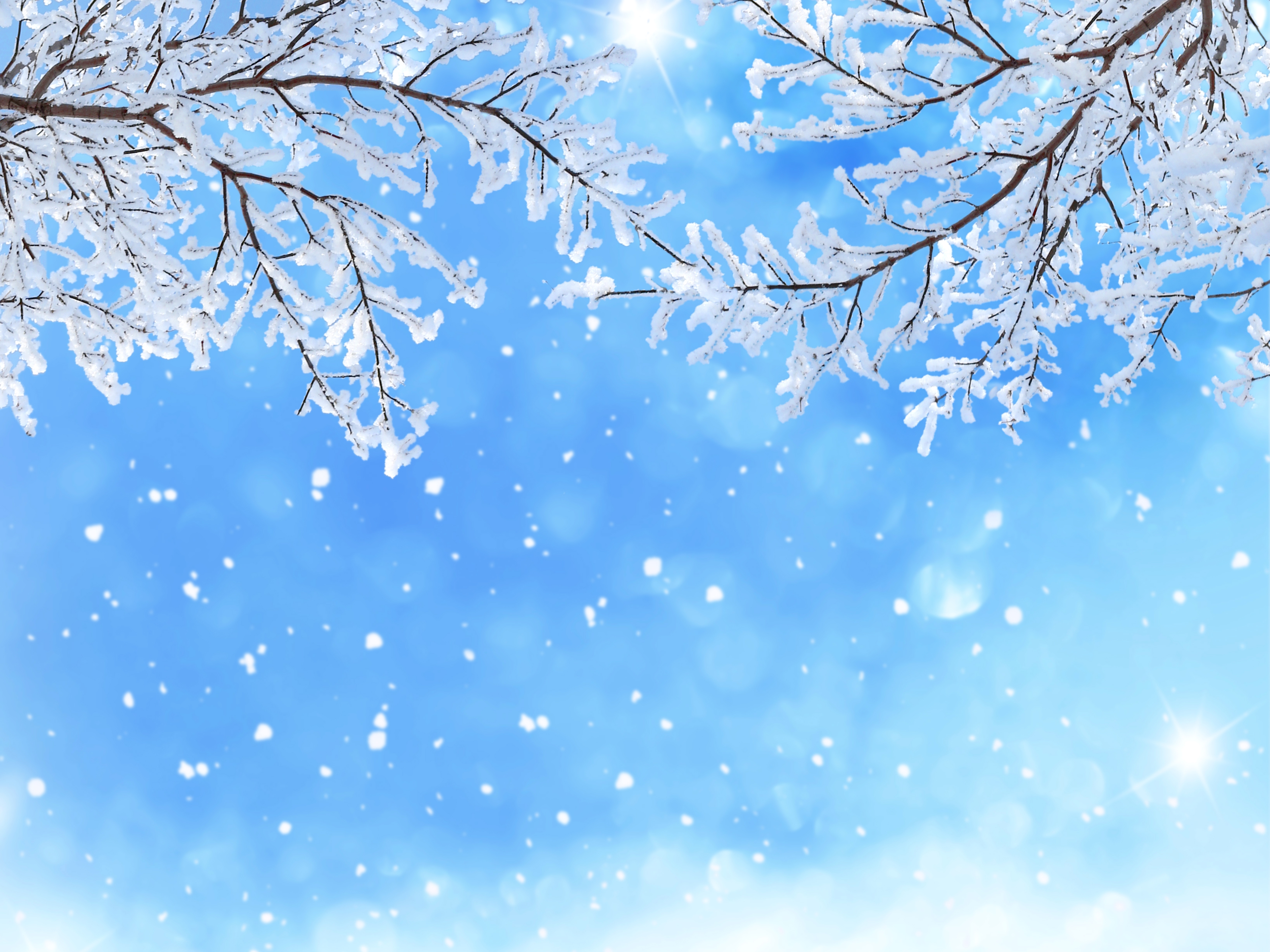 Winter Laptop Background