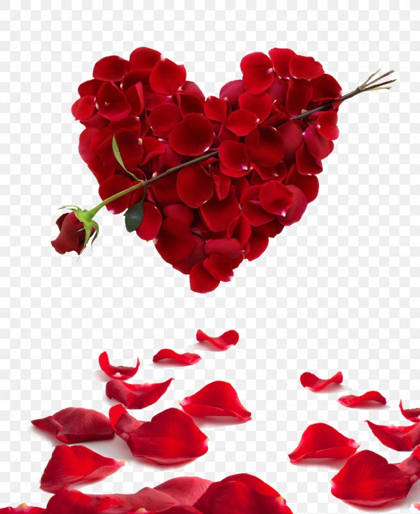 Rose Heart Flower Valentine's Day Wallpaper, PNG, 1024x1252px, Love, Cut Flowers, Feeling, Floristry, Flower Download Free