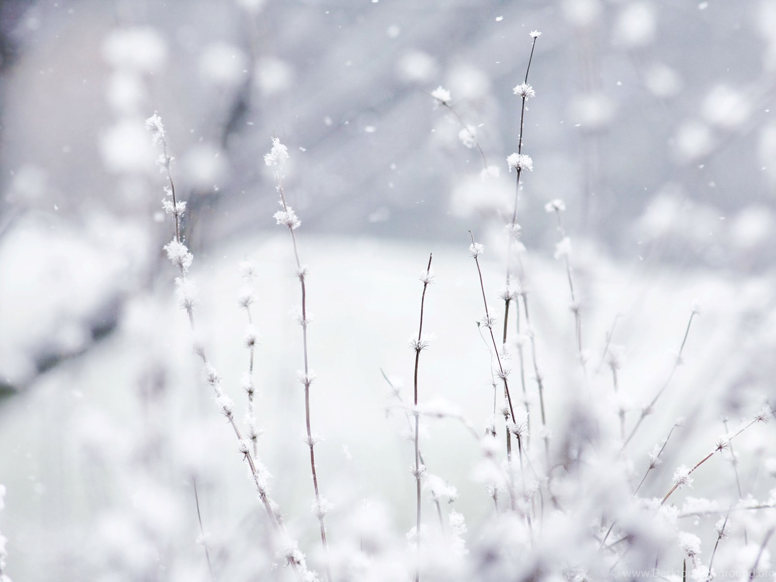 Cute Winter Wallpaper For Android Desktop Background