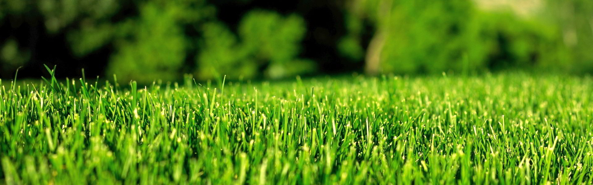 Harmon Mowing & Landscaping. Inc