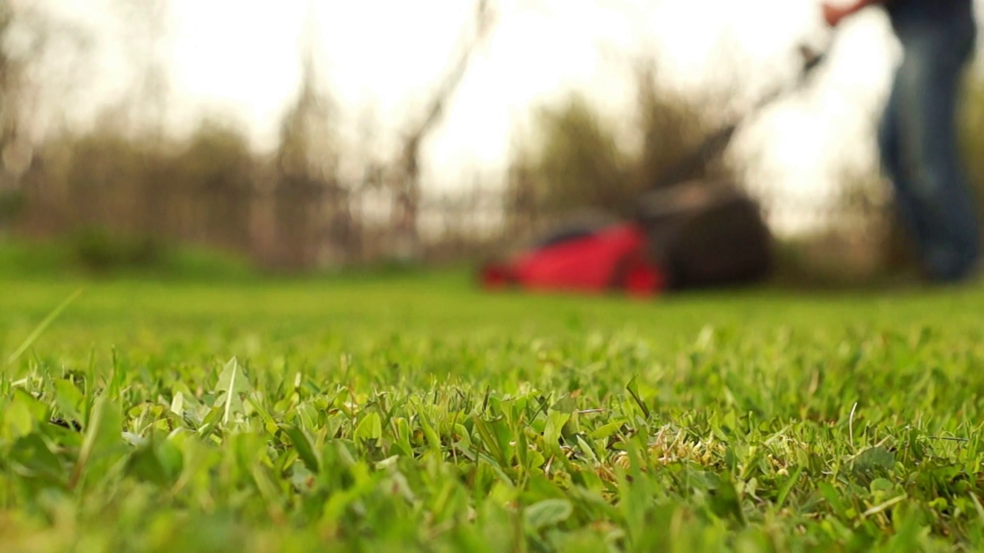 Free download download Man mowing grass in the blurred background Stock [1920x1080] for your Desktop, Mobile & Tablet. Explore Mowing Background