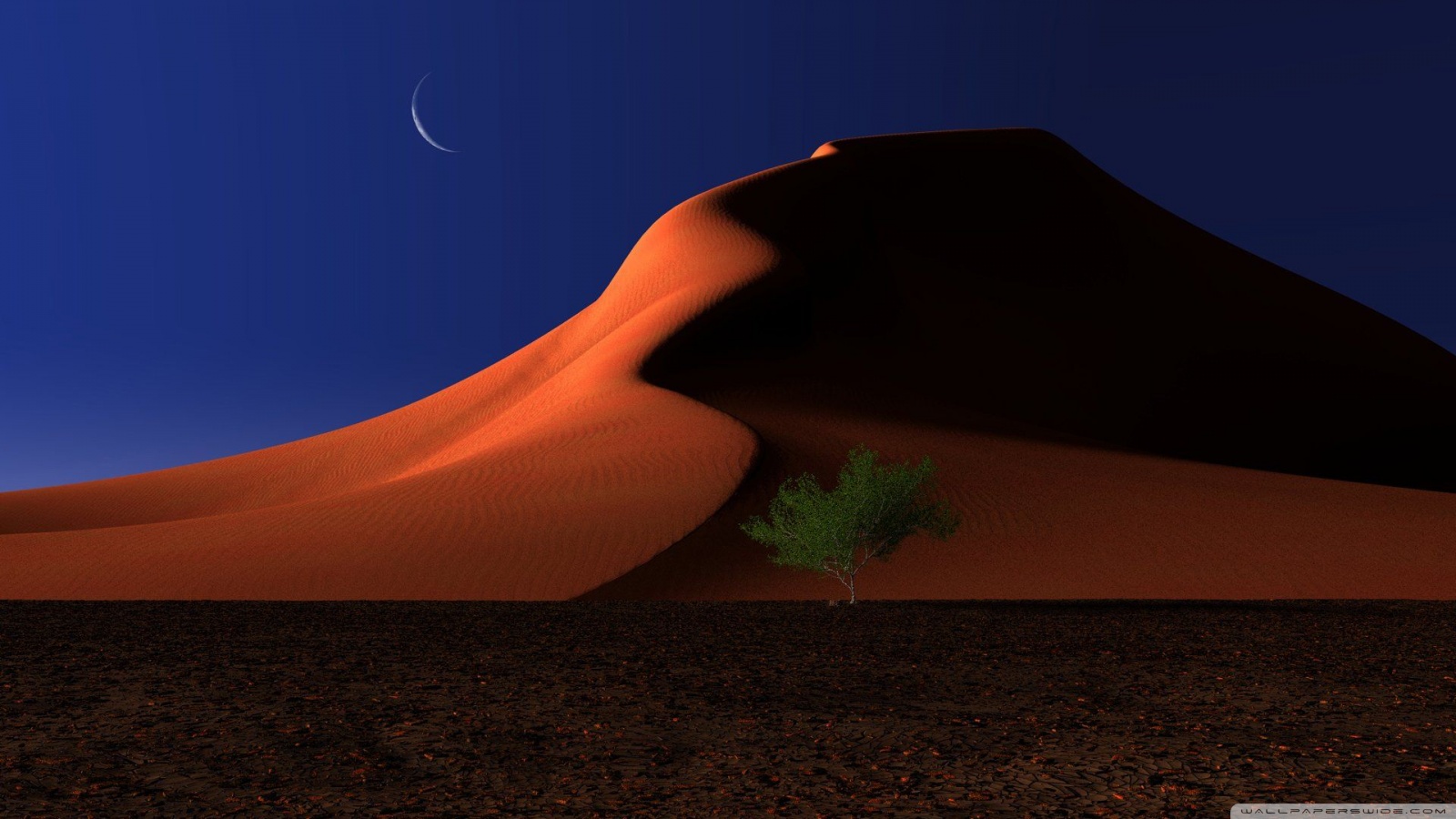 All About HD Wallpaper: Desert Night Wallpaper HD