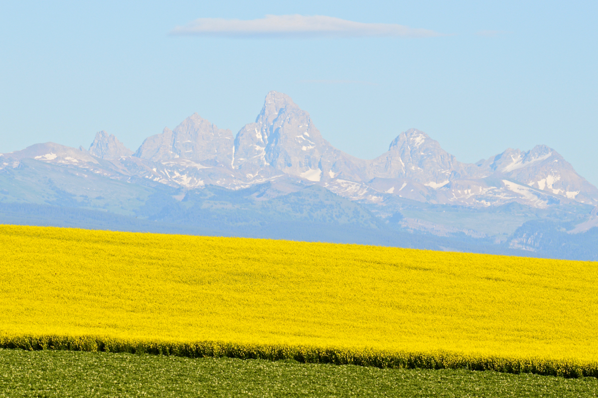 The Tetons, from the Idaho Side service of USRA