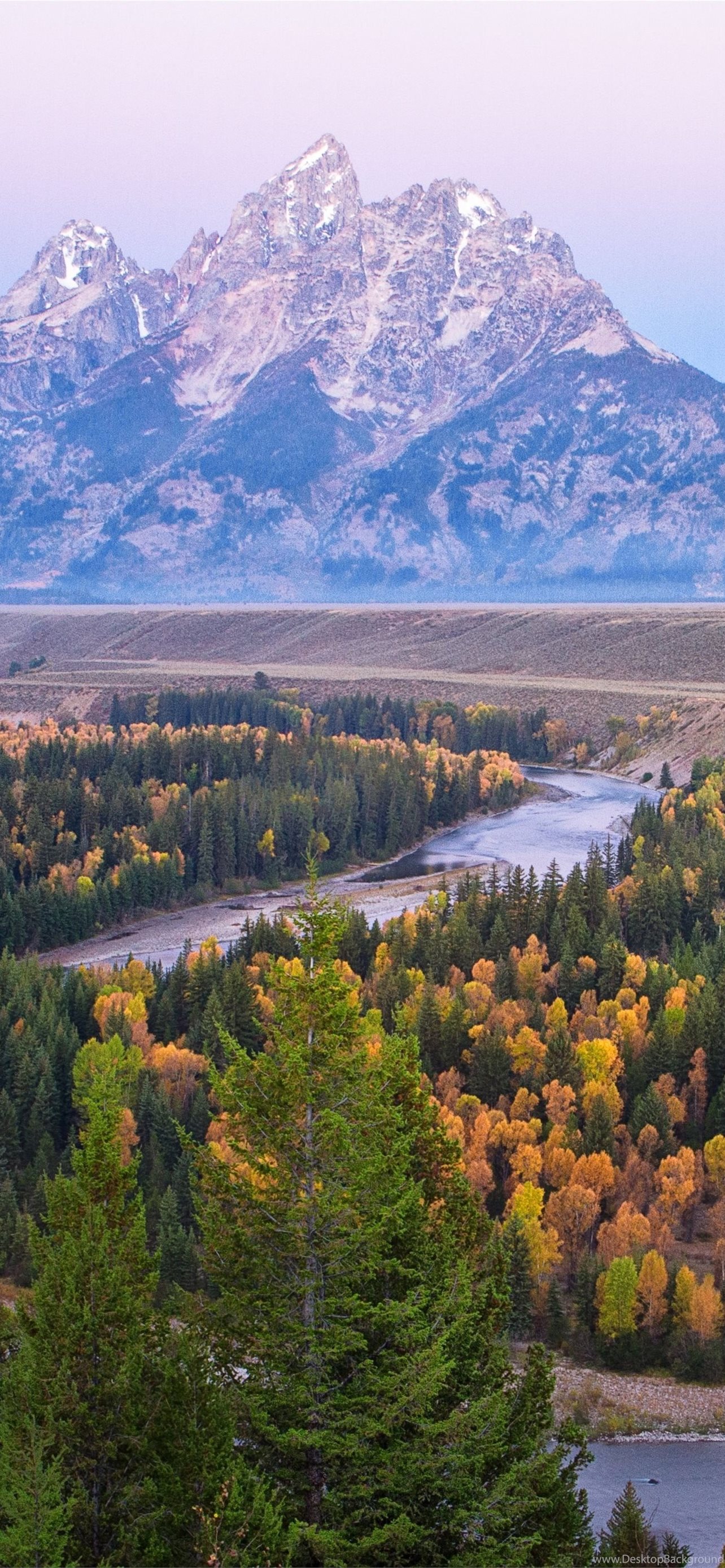 Grand Teton National Park River Trees Autumn Mount. iPhone Wallpaper Free Download