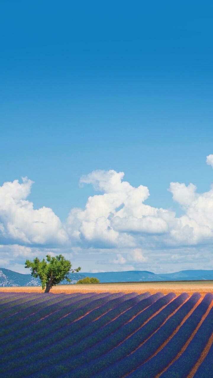 Somewhere South, France. Sunset, Sunrise sunset, Sunrise