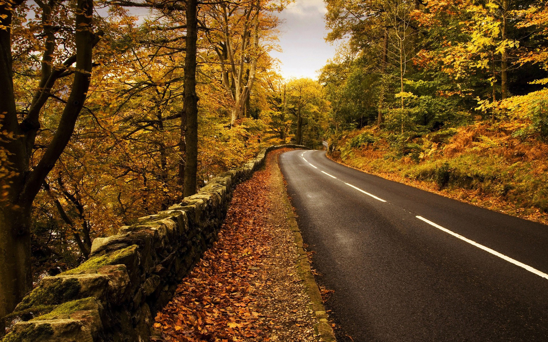 Awesome HD Road Wallpaper
