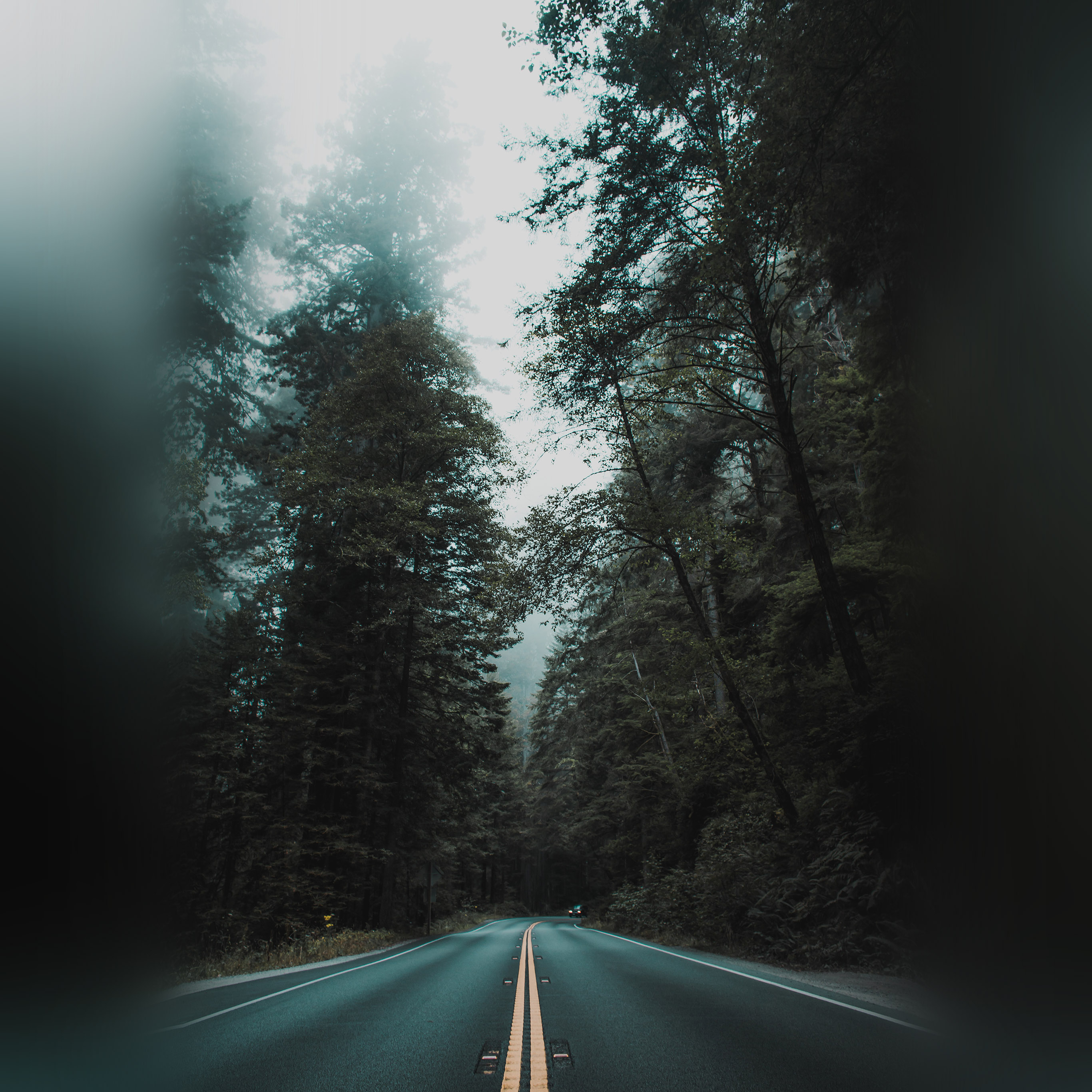 Street Mountain Road Tree Nature Wallpaper