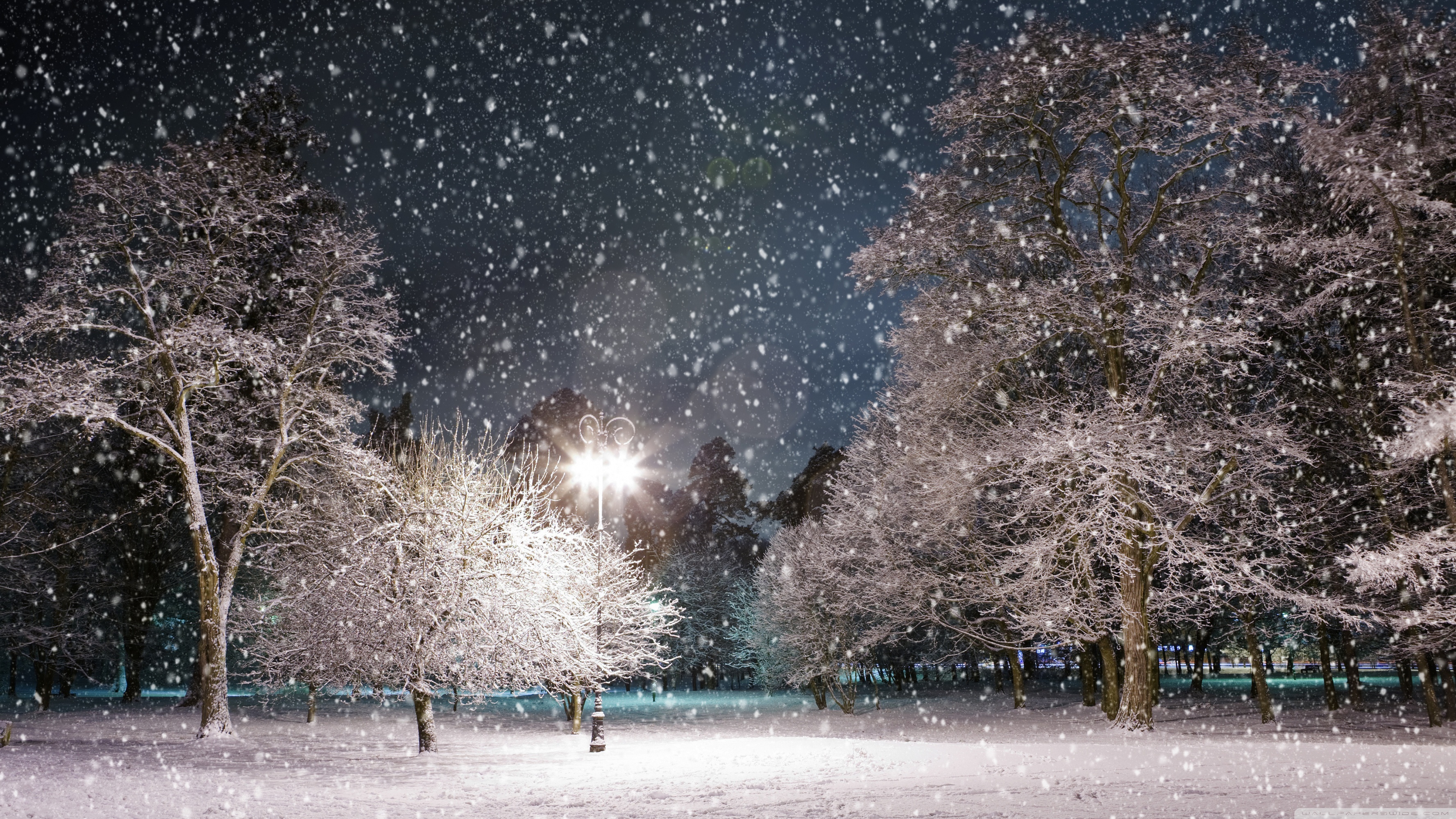 Winter Night Wallpaper HD Wallpaper & Background Download