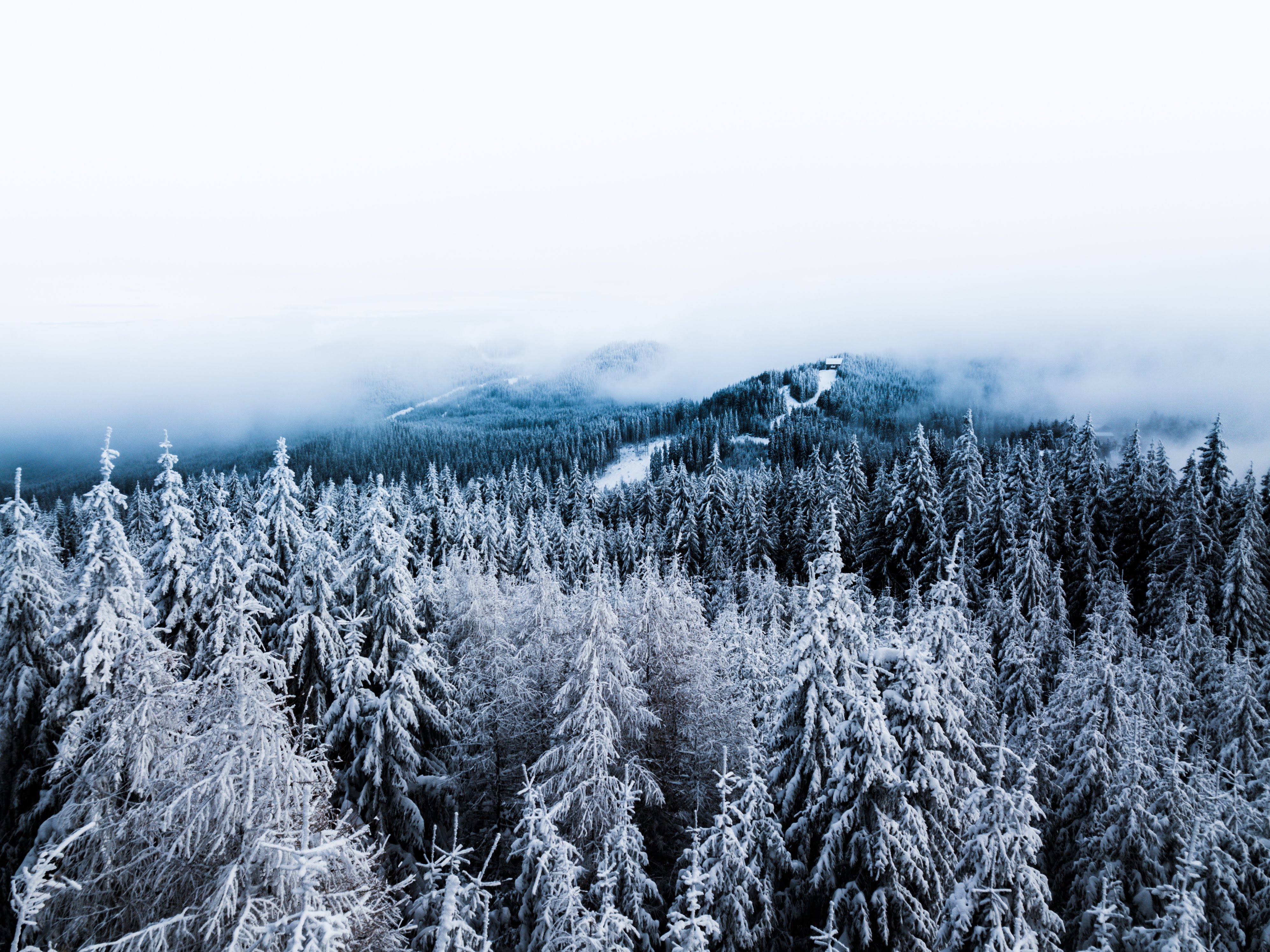 Winter Wallpapers: Free HD Download [500+ HQ]