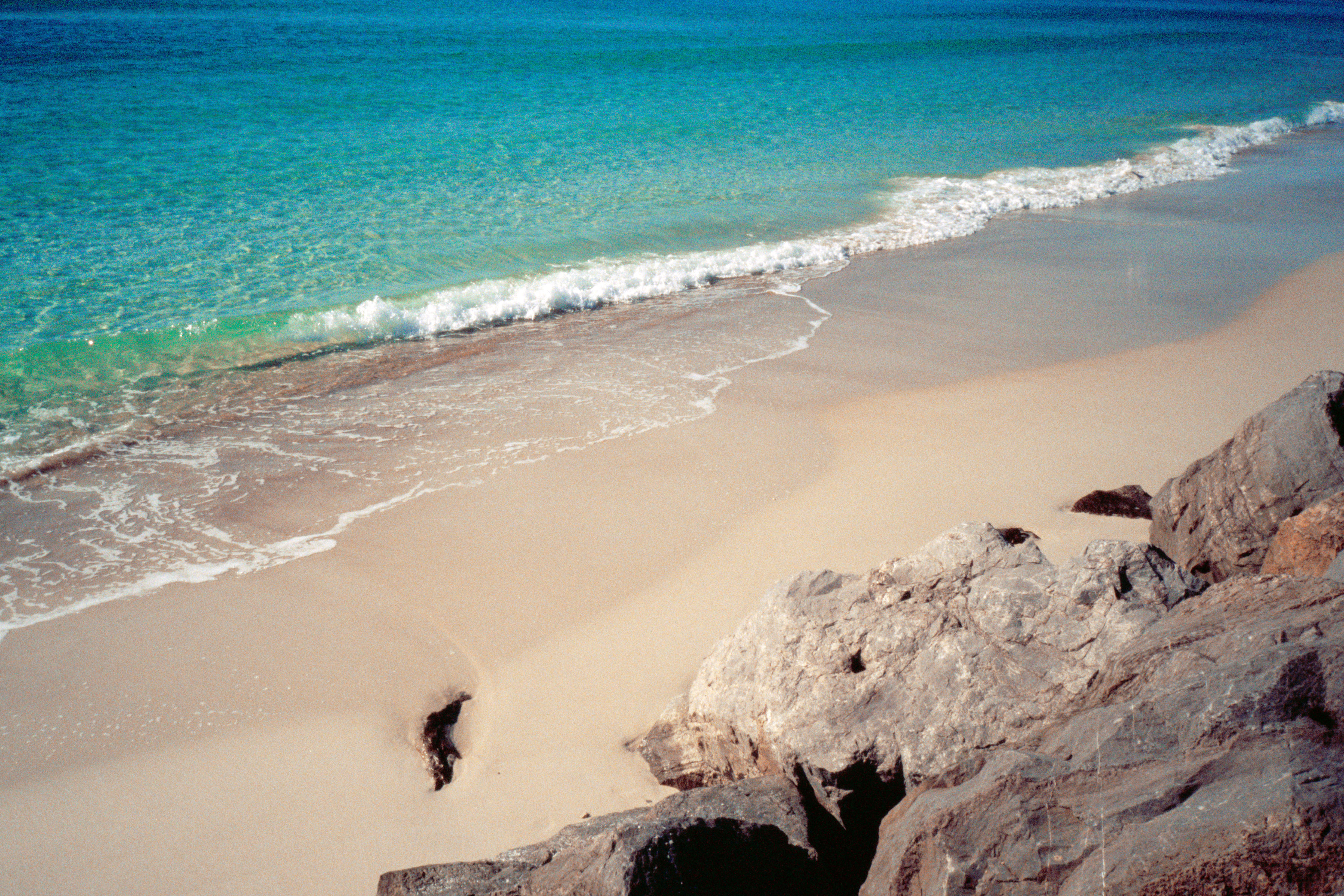 Desktop Picture: Beach near Panama City