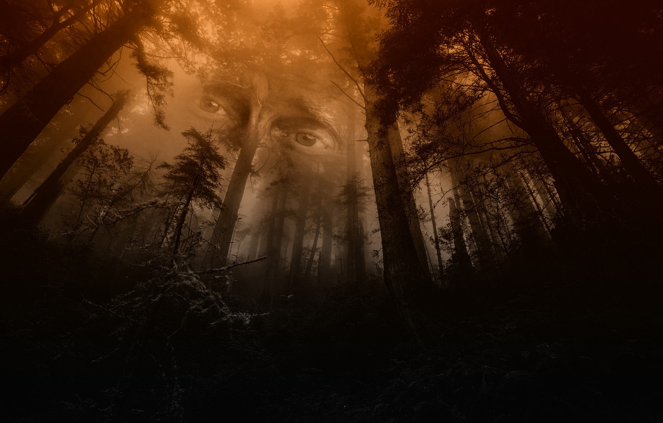 Wallpaper forest, eyes, mystic, the spirit of the forest image for desktop, section рендеринг