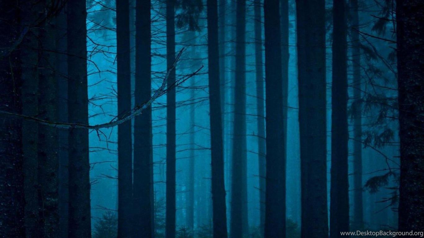 Mystical Forest Desktop Background