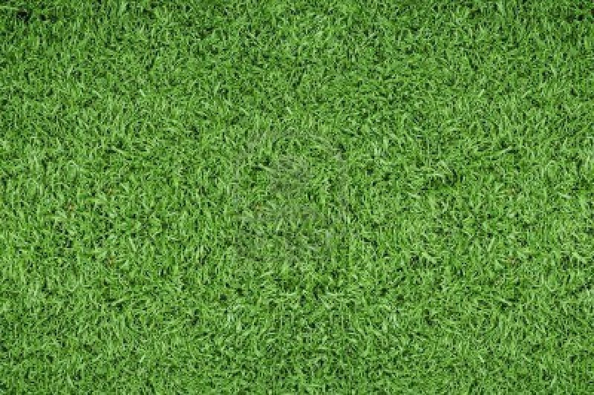 soccer grass wallpaper