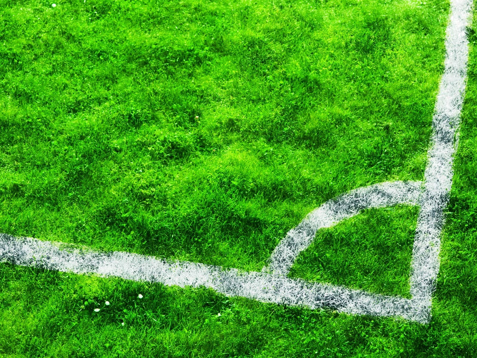 Wallpaper Football field, grass 1920x1200 HD Picture, Image
