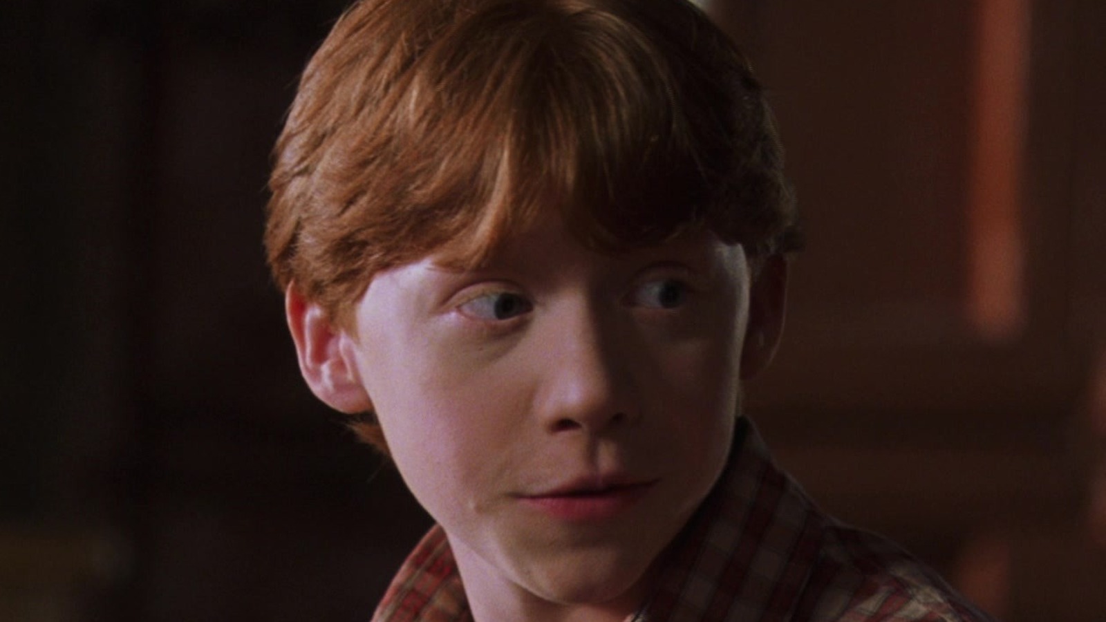 The Entire Weasley Family Tree From Harry Potter Explained