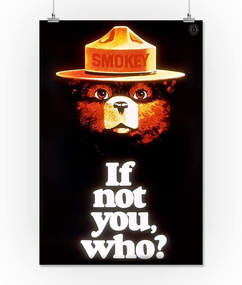 Smokey Bear, If Not You, Who, Vintage Poster (16x24 Giclee Gallery Art Print, Vivid Textured Wall Decor): Posters & Prints