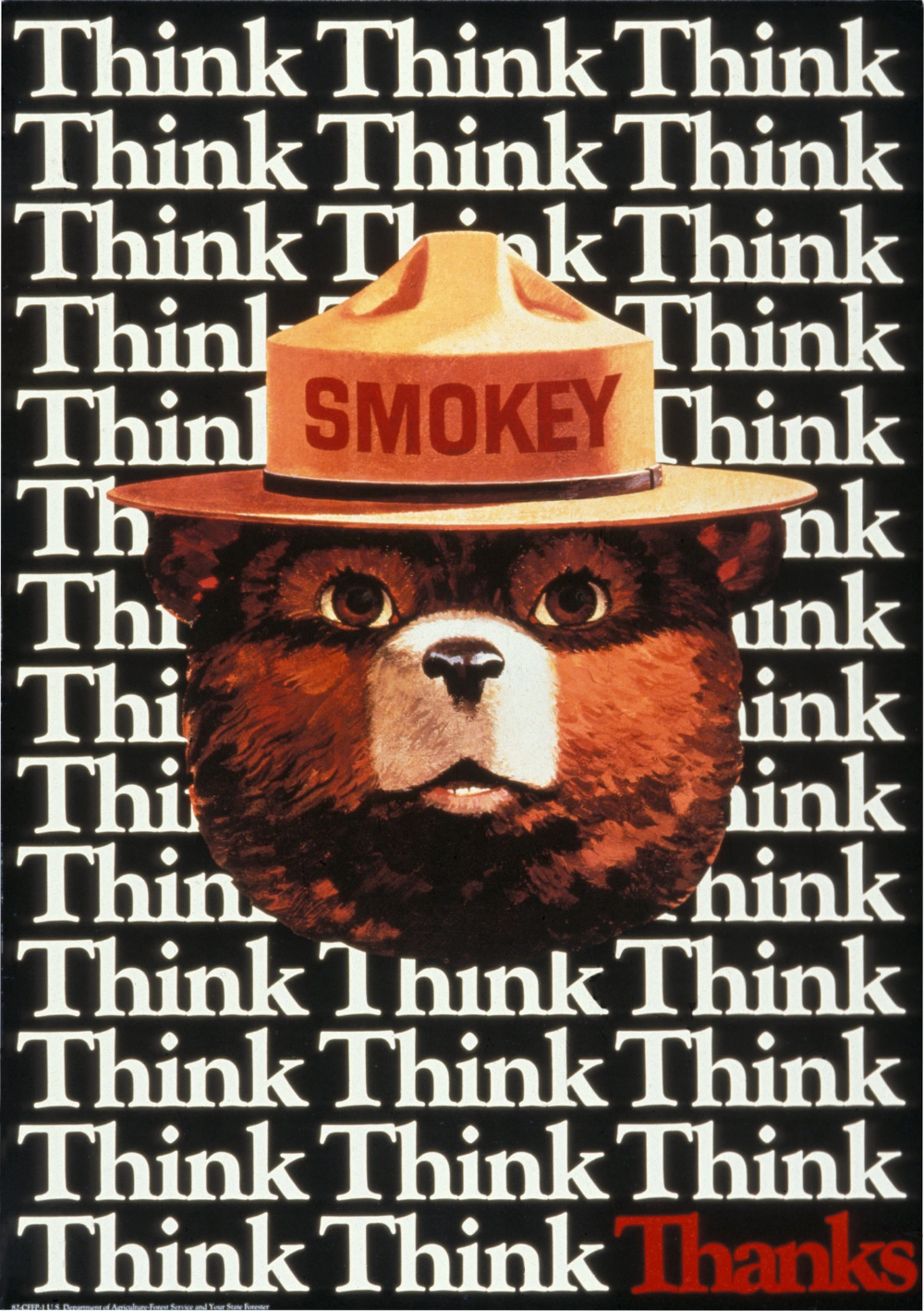 A Look at Smokey Bear's Legacy, for His 75th Birthday (Published 2019). Smokey the bears, Smokey, Bear