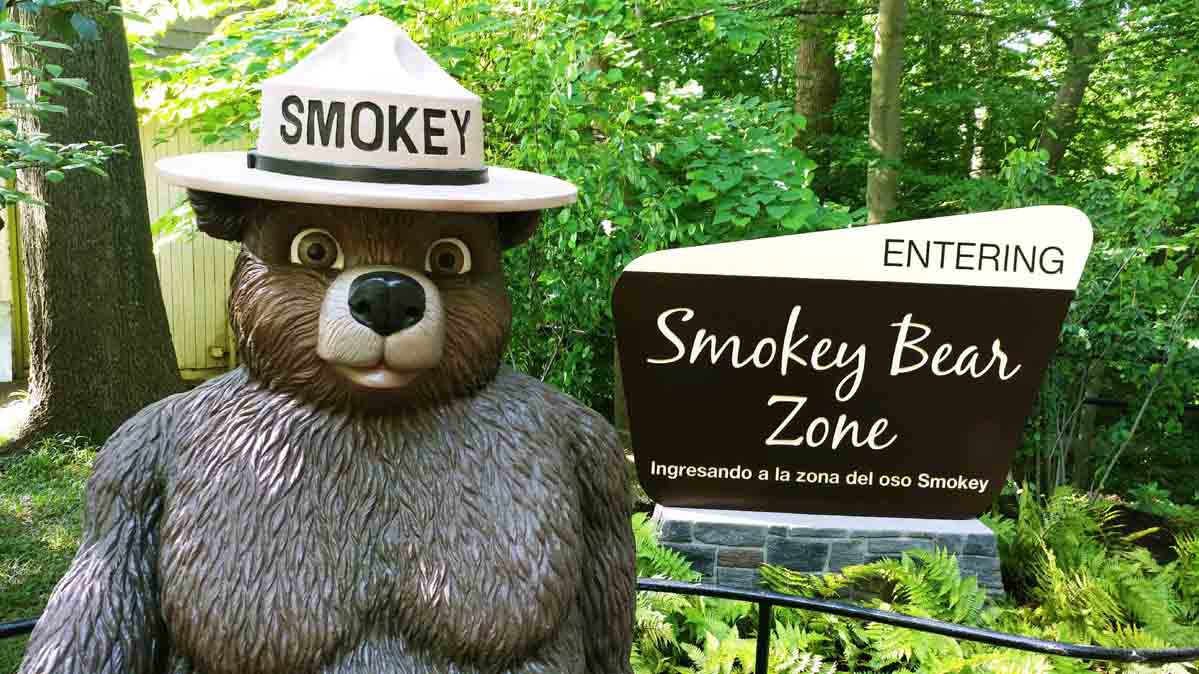 Smokey The Bear Wallpapers - Wallpaper Cave