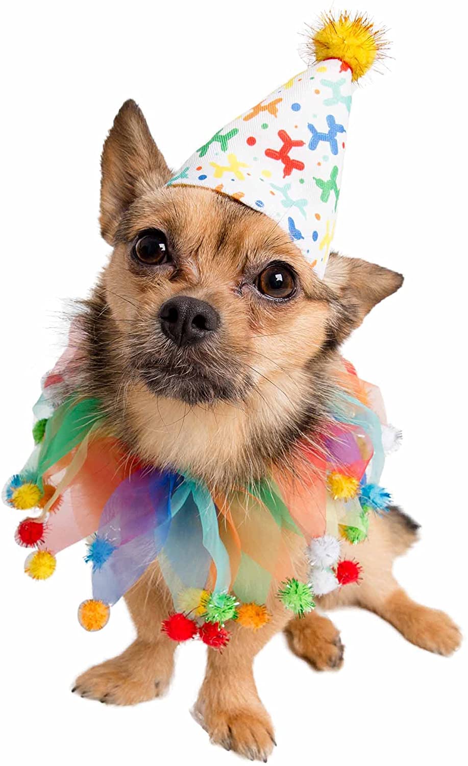 Amazon.com, Pet Krewe Dog Happy Birthday Hat & Collar Outfitst Bday Party Costume, National Cat Day, Photo Shoots & Celebrations. Doggie & Puppy Clothes. Ideal Gift for