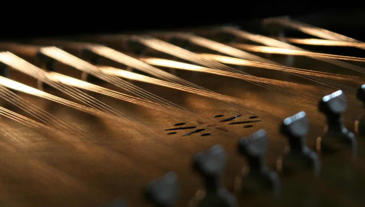 santoor ساز سنتور. Acoustic music, Magic school, Design